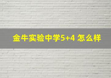 金牛实验中学5+4 怎么样